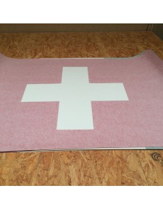 Nacra 17 Drapeau de GV SUI 2