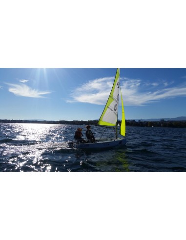 Topper Topaz Taz Race Mylar Topper Topaz Taz Race Mylar