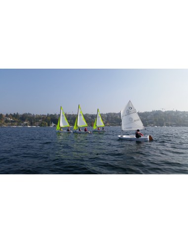 Topper Topaz Taz Race Mylar Topper Topaz Taz Race Mylar