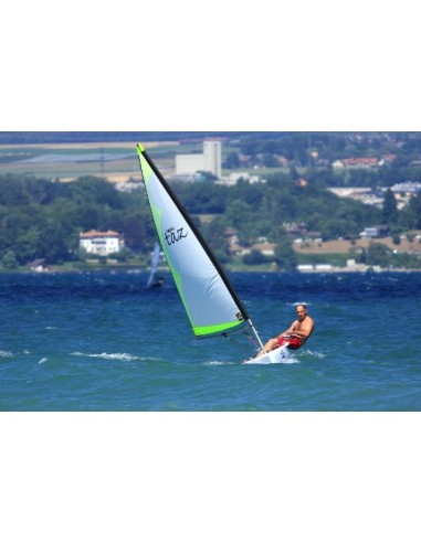 Topper Topaz Taz Race Mylar Topper Topaz Taz Race Mylar