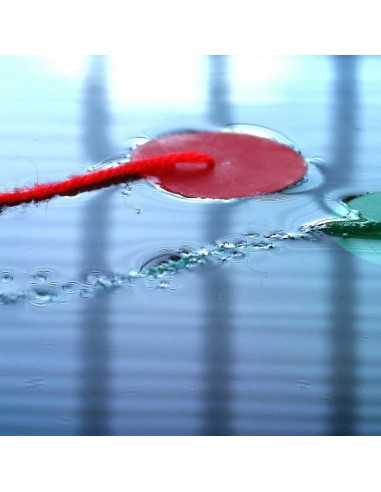 Rooster Tell Tales Teflon Coated 127491 101579 CHF7.68 H2O Sensations Rooster Tell Tales Teflon Coated 127491 101579 CHF7.68 H2O Sensations