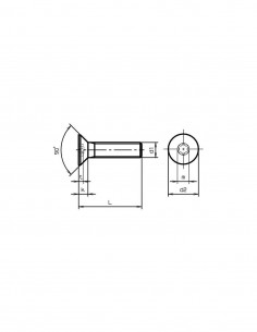 Vis Metrique Inox A2 M3 16mm Torx Tête Fraisée Plate A2M3TCF16 2