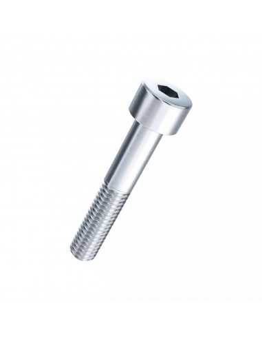 Stainless Steel A4 Bolt M6 60mm Partially Thread Allen Cylinder Head A4M6PAC60 H2O Sensations