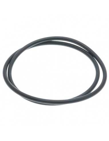 RWO O Ring Trappes de Visite 125mm R4055 5,55&nbsp;CHF H2O Sensations