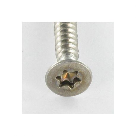 Stainless Steel A2 Metal Screw 4.2*25mm Torx Countersunk Flat Head A2TTFP4225 H2O Sensations