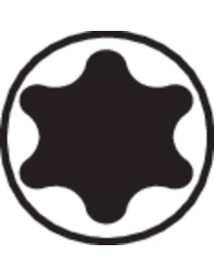 Wera Embout Inox Six Pans Torx TX40 25mm 2