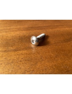 Stainless Steel A4 Screw 7.0*30mm Torx Pan Head A4TTB7030 H2O Sensations