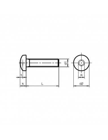 Stainless Steel A4 Screws M3 10mm Torx PAN Head A4M3TORCO10 H2O Sensations Stainless Steel A4 Screws M3 10mm Torx PAN Head A4M3TORCO10 H2O Sensations