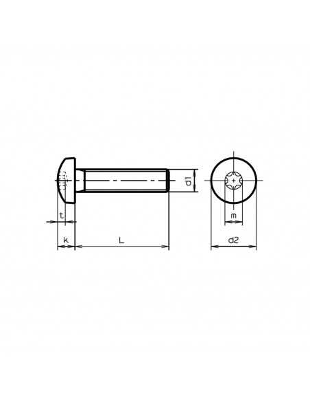 Vis Metrique Titane GR5 M5 20mm Torx Tête Bombée TIM5TORCO20 H2O Sensations