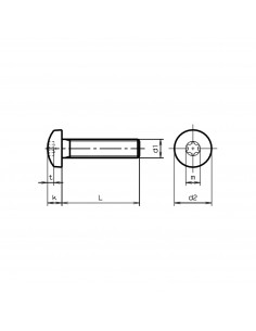 Titanium GR5 Screws M5 25mm Torx Pan Head TIM5TORCO25 H2O Sensations 2