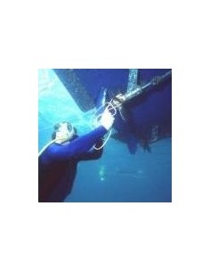 powerdive,dive,without,tank 2