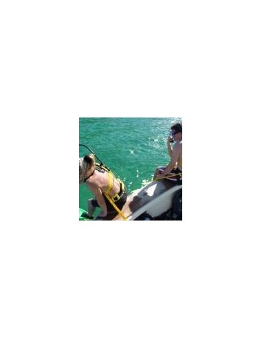 powerdive,dive,without,tank powerdive,dive,without,tank