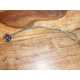 Dyneema double Loop avec Anneau Antal 10*7 Small